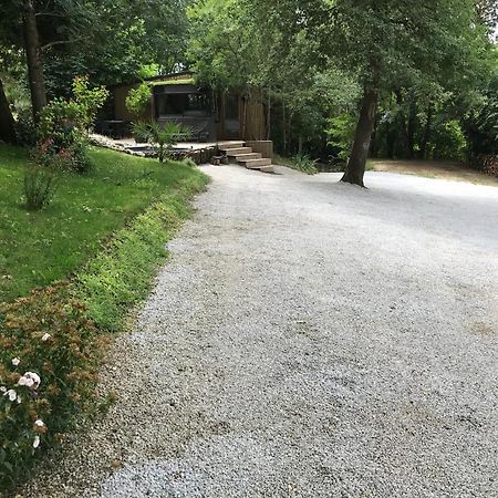 Bus Atypique Au Bord Du Canal Du Midi Et Au Coeur D'Une Foret 2 Chambres Villepinte  Extérieur photo