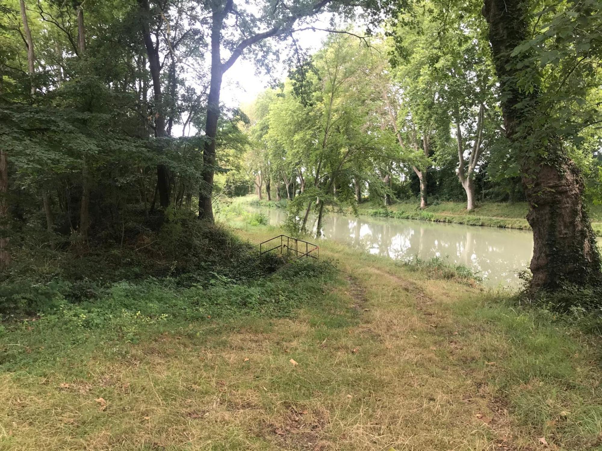 Bus Atypique Au Bord Du Canal Du Midi Et Au Coeur D'Une Foret 2 Chambres Villepinte  Extérieur photo