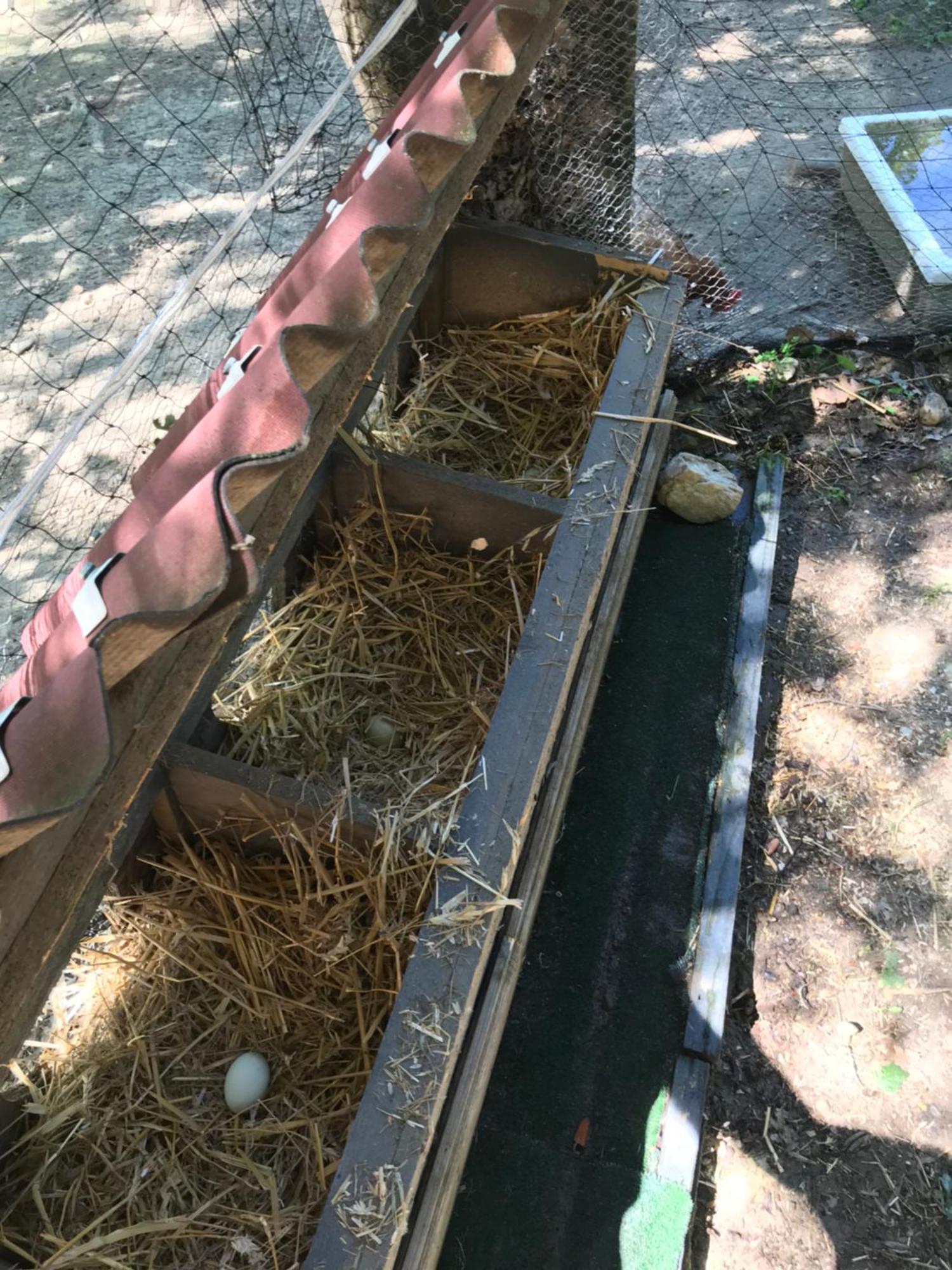 Bus Atypique Au Bord Du Canal Du Midi Et Au Coeur D'Une Foret 2 Chambres Villepinte  Extérieur photo